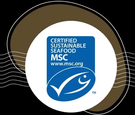 2013_-msc