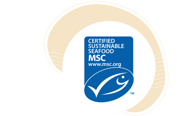 2013_-msc